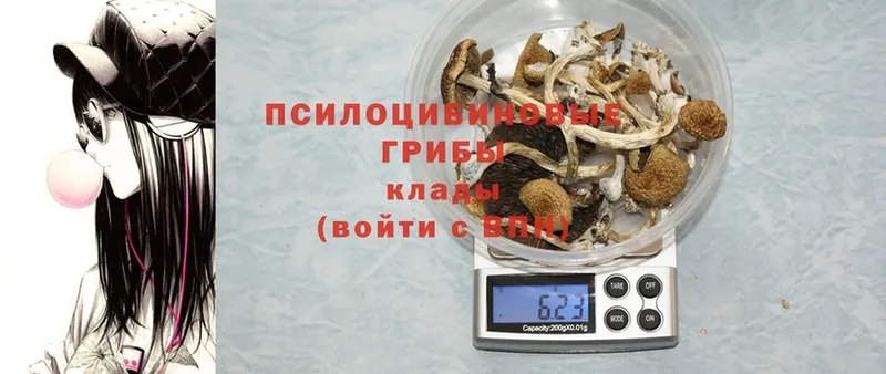 цена   blacksprut зеркало  Галлюциногенные грибы MAGIC MUSHROOMS  Канаш 